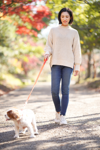 女性が犬の散歩